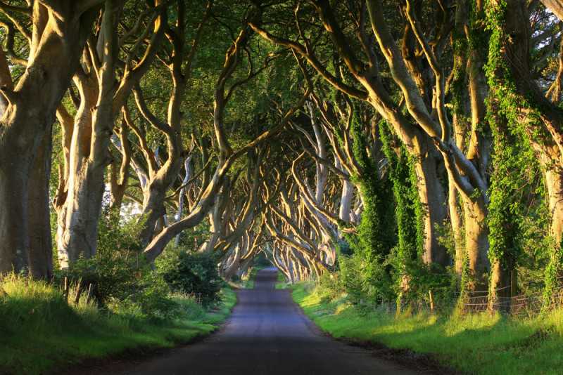 Tours de juego de tronos por Irlanda